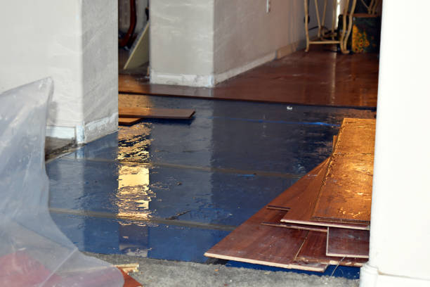 Professional Basement Water Removal technician working in Wellston, MO