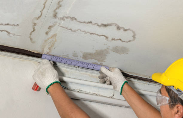 Reliable Basement Water Removal contractor in Wellston, MO by Water Damage Irwin